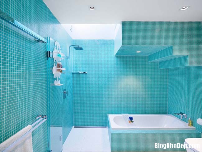 020602 8 large Mẫu thiết kế phòng tắm đẹp hoàn hảo với 2 tông màu xanh dương và trắng