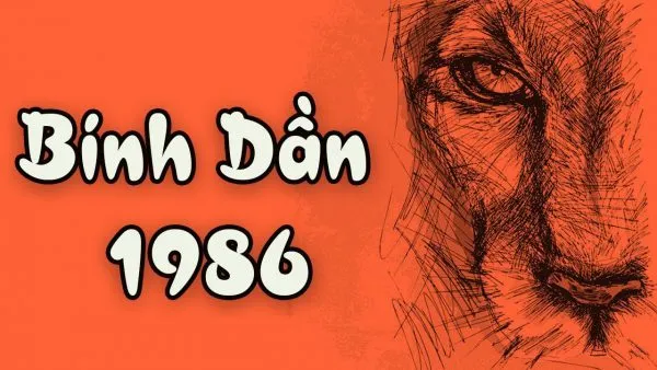 Cách đặt hướng bếp tuổi Bính Dần 1986 mang lại nhiều tài lộc