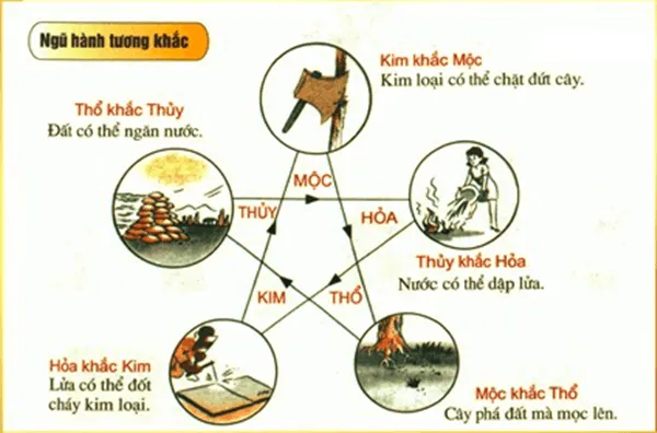 Kim sinh Thủy và ứng dụng ngũ hành trong đời sống