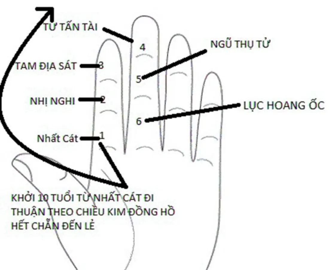 Luận giải tuổi Tân Hợi 1971 làm nhà năm nào tốt, đại cát đại lợi?