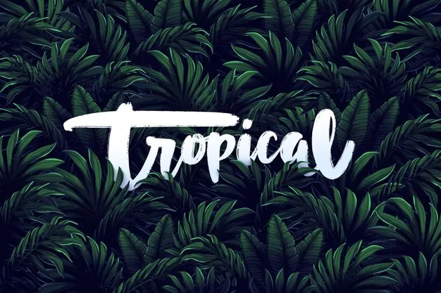 Phong cách thiết kế nội thất Tropical – “Đánh cắp” mùa hè về ngôi nhà bạn