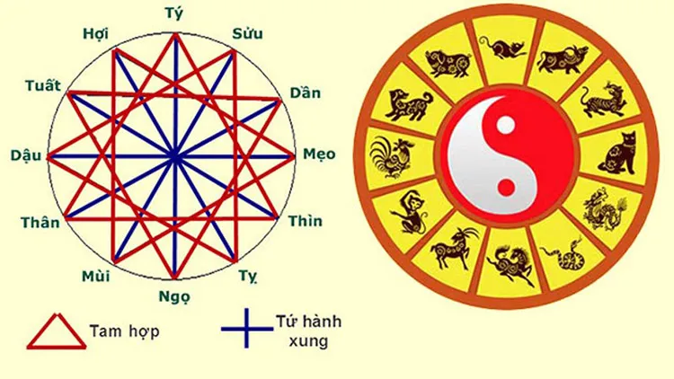 Tứ tấn tài là gì? Tuổi Tứ tấn tài năm 2024