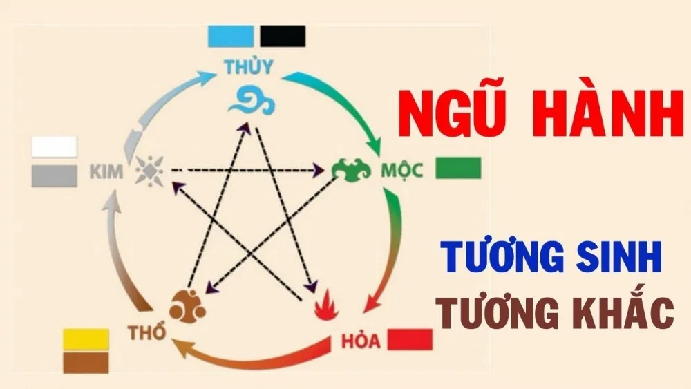 Tư vấn vị trí, số lượng, bể cá phong thủy cho từng tuổi và từng mệnh