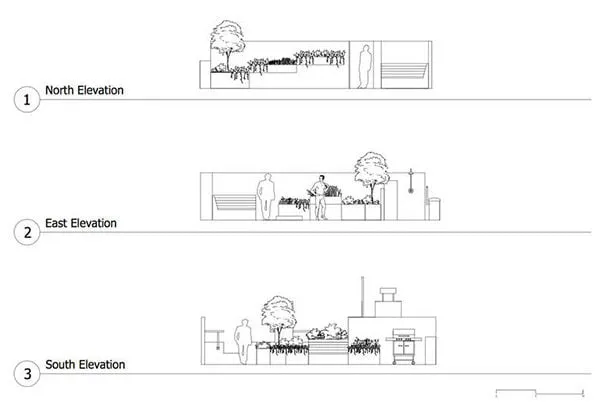 Vợ đảm đang cải tạo sân thượng thành vườn xanh mướt